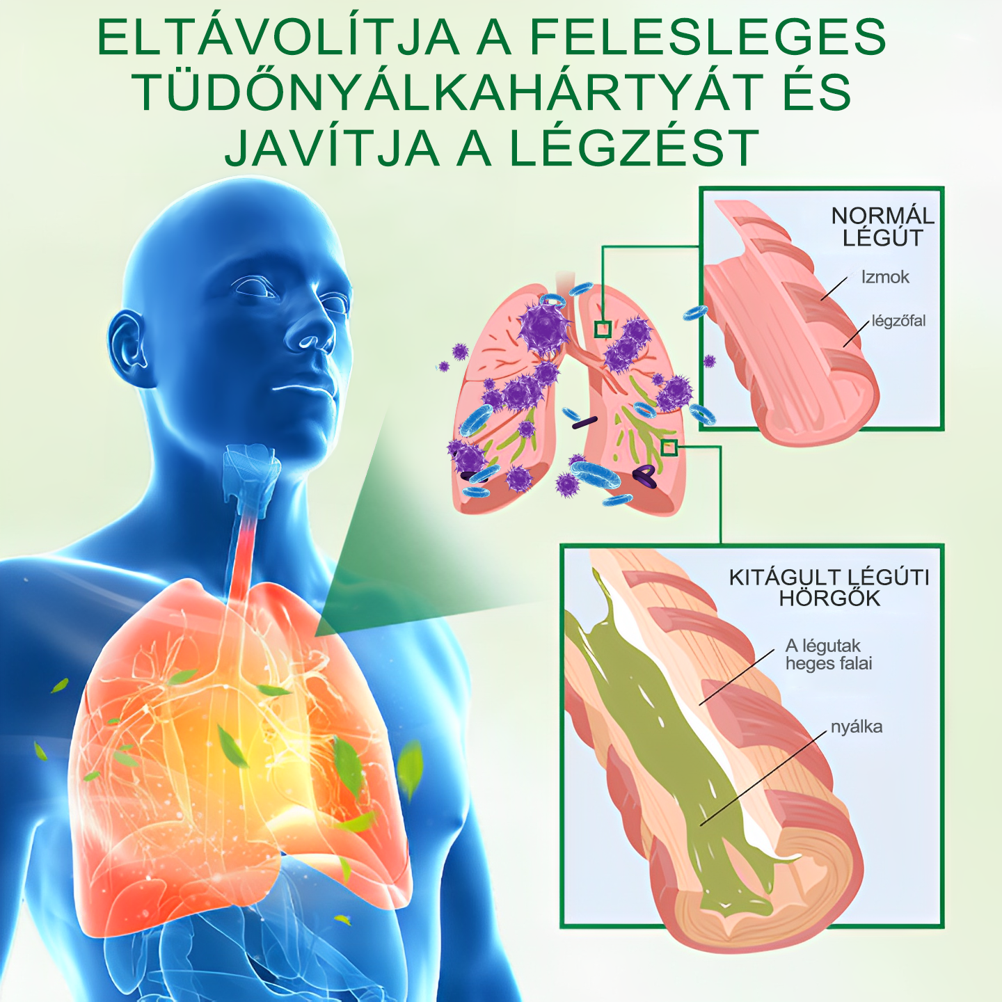 🌿𝐆𝐨𝐨𝐲𝐞𝐞𝐫™ Fejlett Tüdőtisztító Spray -Támogatja a tüdő, a hörgők és az orrmelléküregek egészségét, elősegíti a légzőrendszer egészségét és a könnyebb légzést