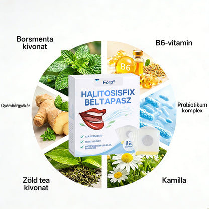 ✨Legnépszerűbb✨Forp® Halitosis Fix Gut Tapas🎉Különleges, korlátozott ideig érvényes kedvezmény-🛒